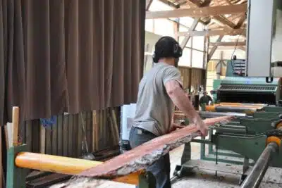 Les métiers du bois une filière en pleine expansion pour les futurs ingénieurs