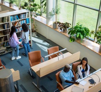 Transition écologique : les formations essentielles pour les nouveaux métiers