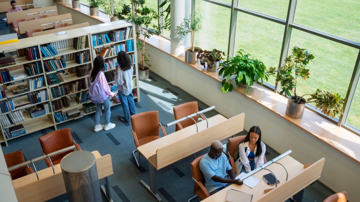 Transition écologique : les formations essentielles pour les nouveaux métiers